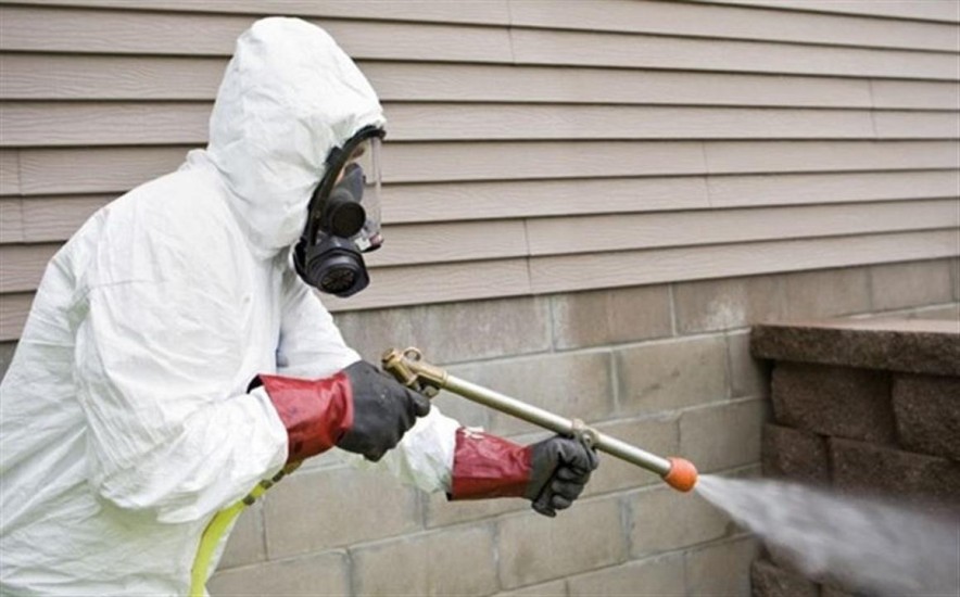 Более 28 тысяч домов в Астане охватит весенняя кампания по дератизации