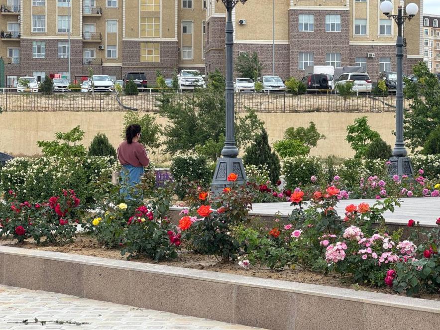 В Актау активно реализуются мероприятия по озеленению города