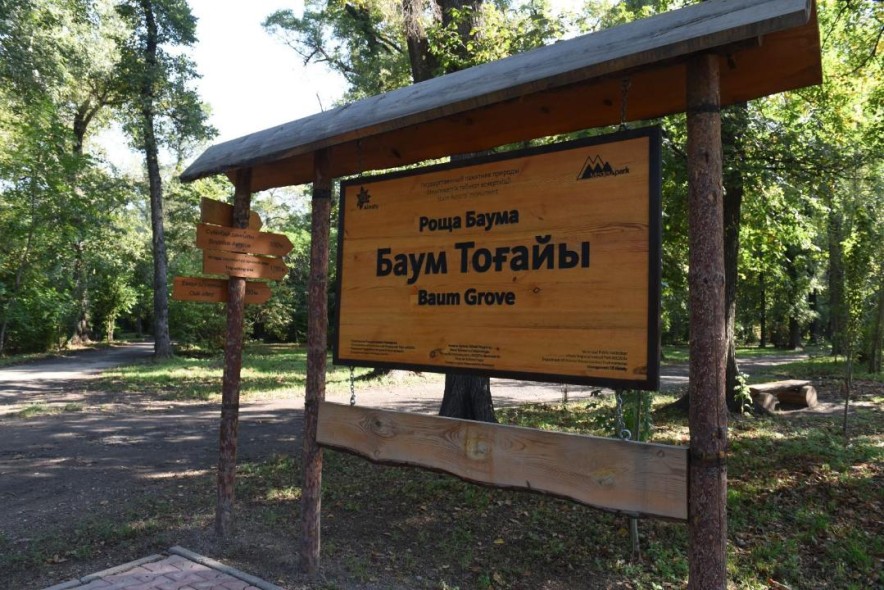 В Алматинской роще Баума планируют вырубить свыше десяти тысяч деревьев