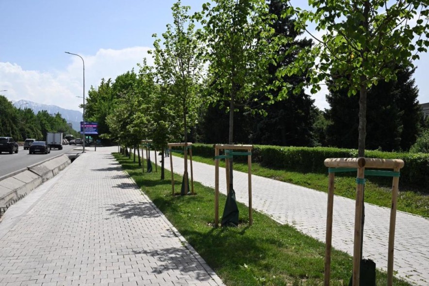 Алматы увеличит площадь зелёных насаждений до 15 кв. м на жителя к 2030 году