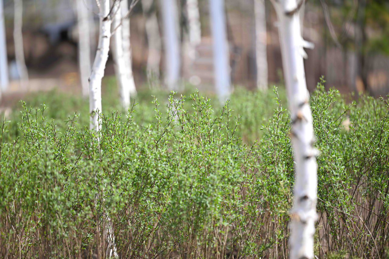 Акимат Астаны